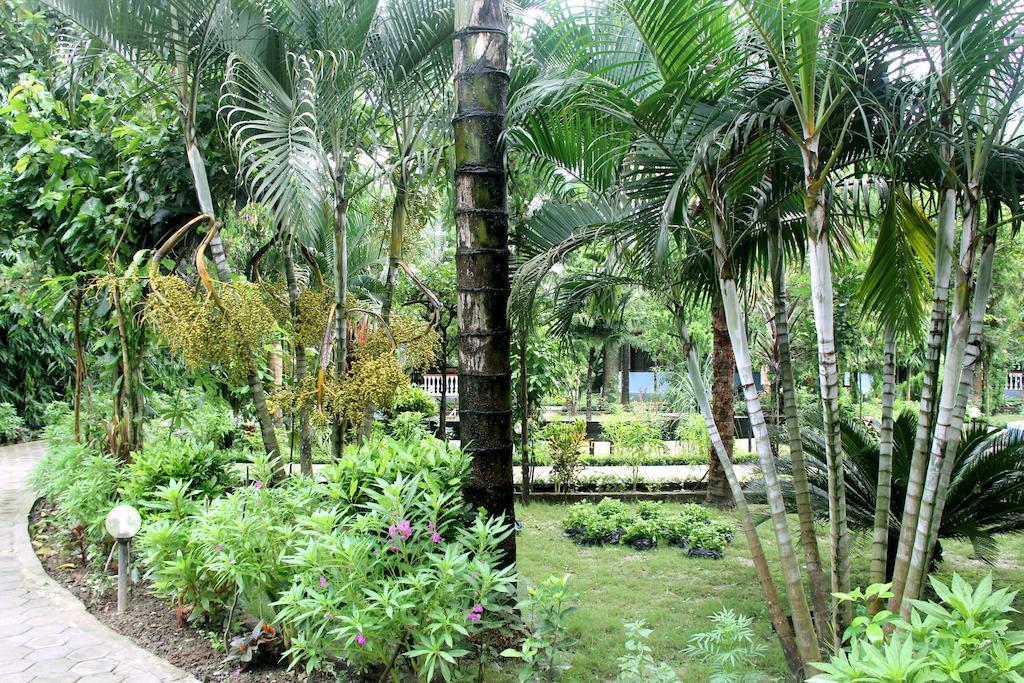 Jungle Safari Resort Sauraha Exterior photo