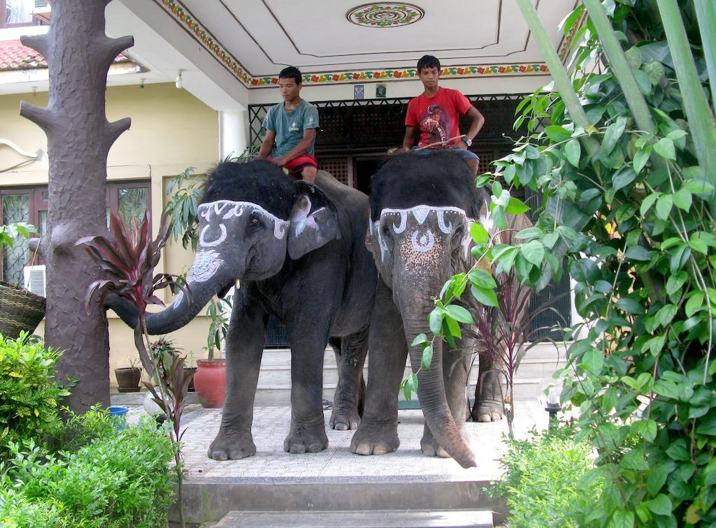 Jungle Safari Resort Sauraha Exterior photo