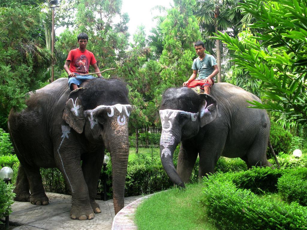 Jungle Safari Resort Sauraha Exterior photo