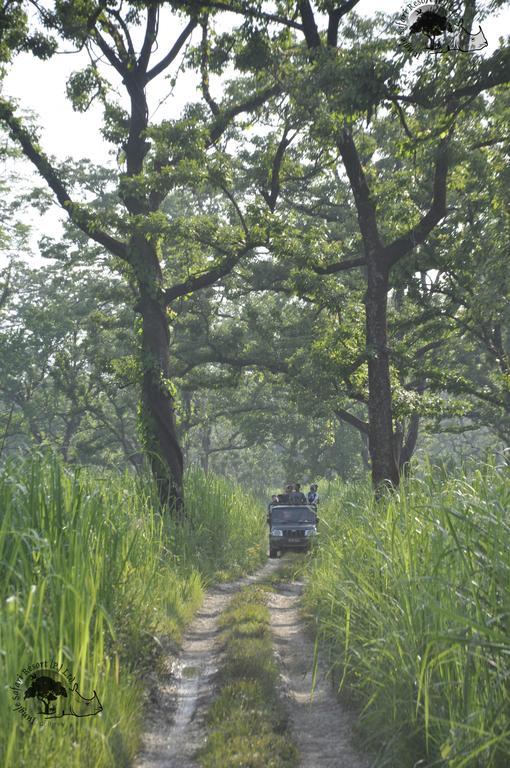 Jungle Safari Resort Sauraha Exterior photo