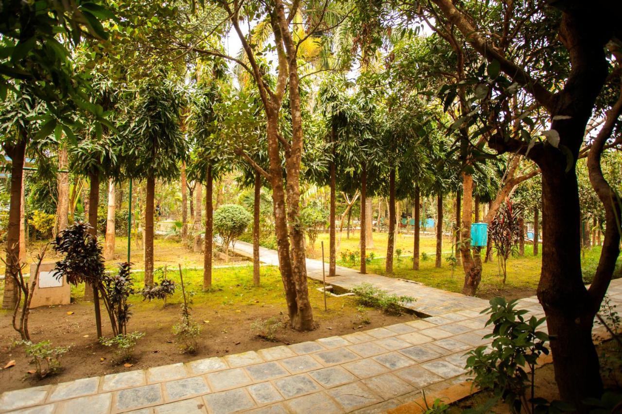 Jungle Safari Resort Sauraha Exterior photo
